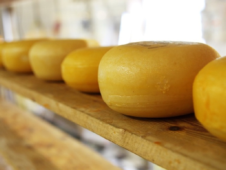 UKRAINA - dochodzenie w sprawie importu na Ukrainę niektórych rodzajów sera